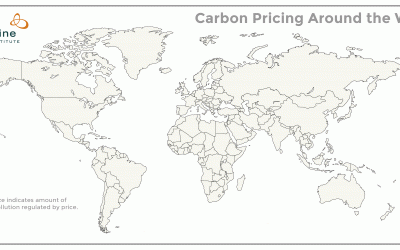 How carbon pricing accelerates innovation