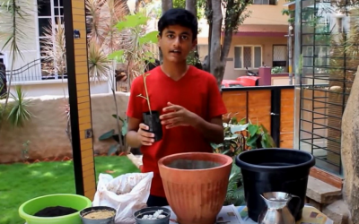 Bengaluru Boy Grows His Own Veggies & Teaches Organic Farming on YouTube