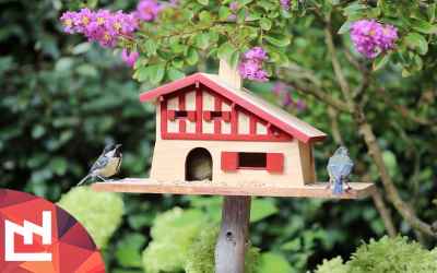 DIY bird house