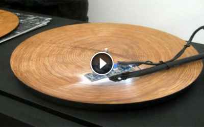 Tree Trunk On A Record Player. When It Starts To Play, I Got Chills All Over!