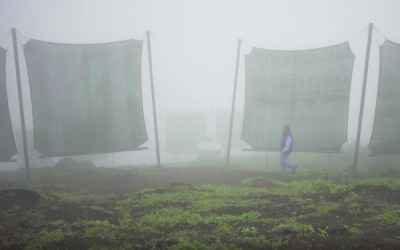 Catching fog to help combat Peru’s water shortage | The Kid Should See This