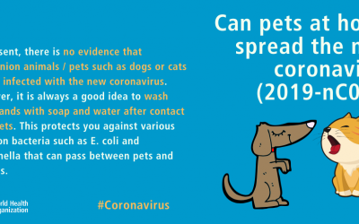 Coronavirus disease (COVID-19) advice for the public : Myth busters