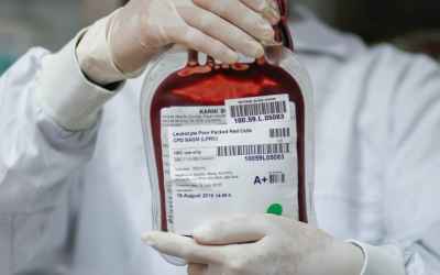 Immortal Stem Cells Let Scientists Create an Unlimited Supply of Artificial Blood