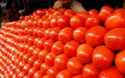 Tomatoes: The new enemy in India