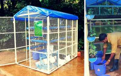 This Integrated Farming Unit Lets You Grow Fish, Poultry & Vegetables Organically