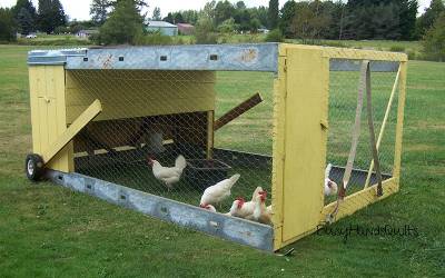 Chicken Tractor 101: What It Is & the Basics of Building One - Modern Farmer