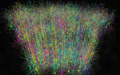 Neuroscientists launched a project to solve greatest mysteries about the human brain
