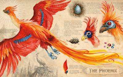 New Harry Potter illustrations are a visual treat