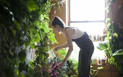 Meet a Woman Who Keeps 500 Plants in Her Brooklyn Apartment - Modern Farmer