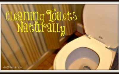 Homemade Toilet Cleaner: 3 Natural Recipes for Cleaning the Bowl and the Tank