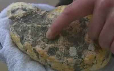 Lucky Fishermen Have Stumbled Across a $3 Million Lump of Whale Vomit