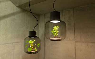 These Innovative Lamps Grow Plants Even In The Darkest Of Corners