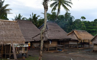 Indigenous architecture saves lives in Lombok quakes