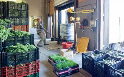 How Regional Food Hubs Shrink the Path from Farm to Fridge - Modern Farmer