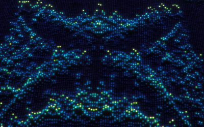 Simulations Capture A Quantum Butterfly