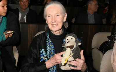 Happy Birthday, Jane Goodall! 11 Inspiring Quotes From the Primatologist