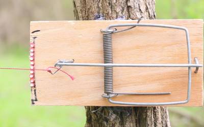 How to Make a Mousetrap Trip Wire Alarm