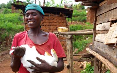 Rabbits: Cute, Cuddly, and Capable of Feeding Villages - Modern Farmer