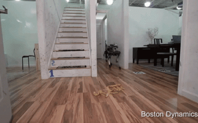 This Robot dog is good enough to show how terrible home robots are right now