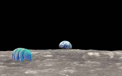 Thousands of Tardigrades Stranded on the Moon After Lunar Lander Crash