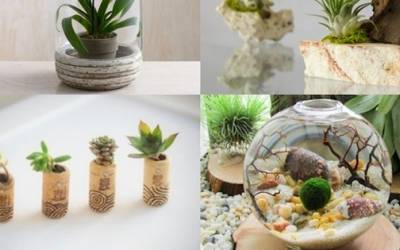 12 beautiful ways to have plants inside