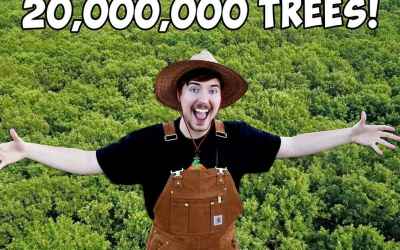 YouTubers band together to plant 20 million trees to fight climate change