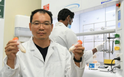Biodegradable Organic battery alternative could replace lithium-ion