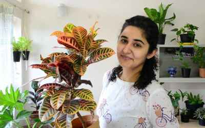 Best Indoor Plants ðŸŒ¼ in India for Decoration