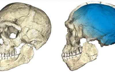 New Fossil Find Pushes Back The Origins of Homo Sapiens by 100,000 Years